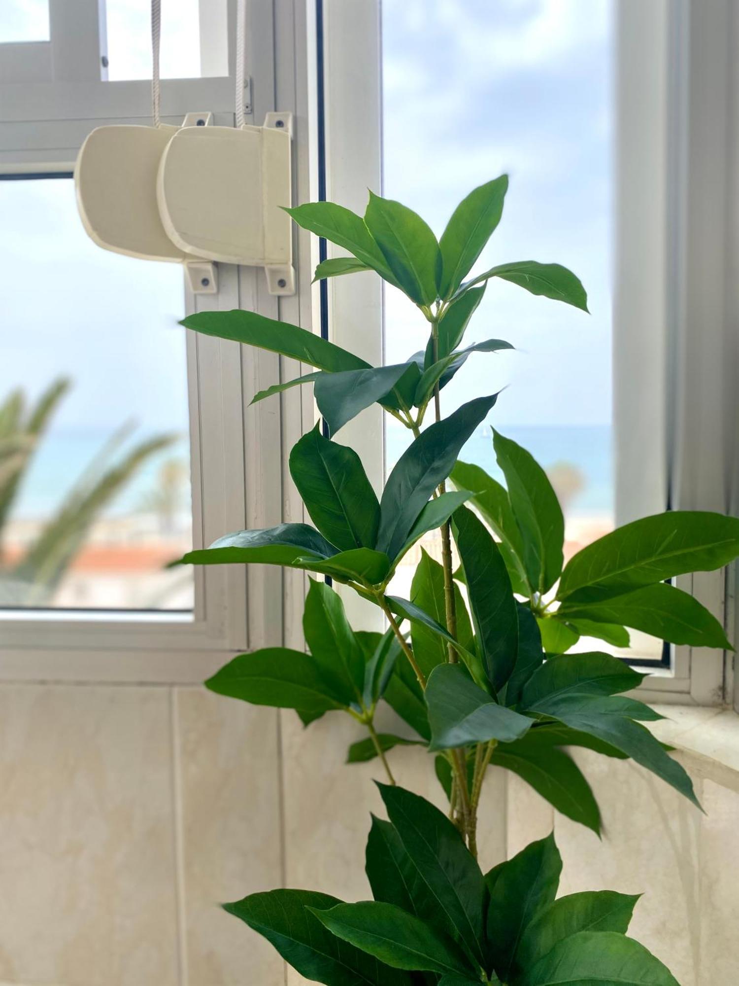 Apartamento Luz Del Mar Torrox Exterior foto